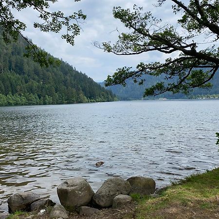 Charmant Chalet, Spacieux, Proche Du Lac, Vue Sur La Montagne 제라르메르 외부 사진
