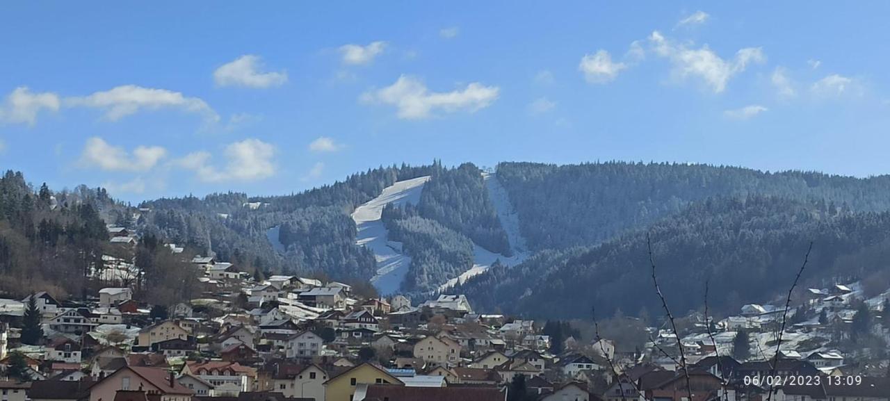Charmant Chalet, Spacieux, Proche Du Lac, Vue Sur La Montagne 제라르메르 외부 사진
