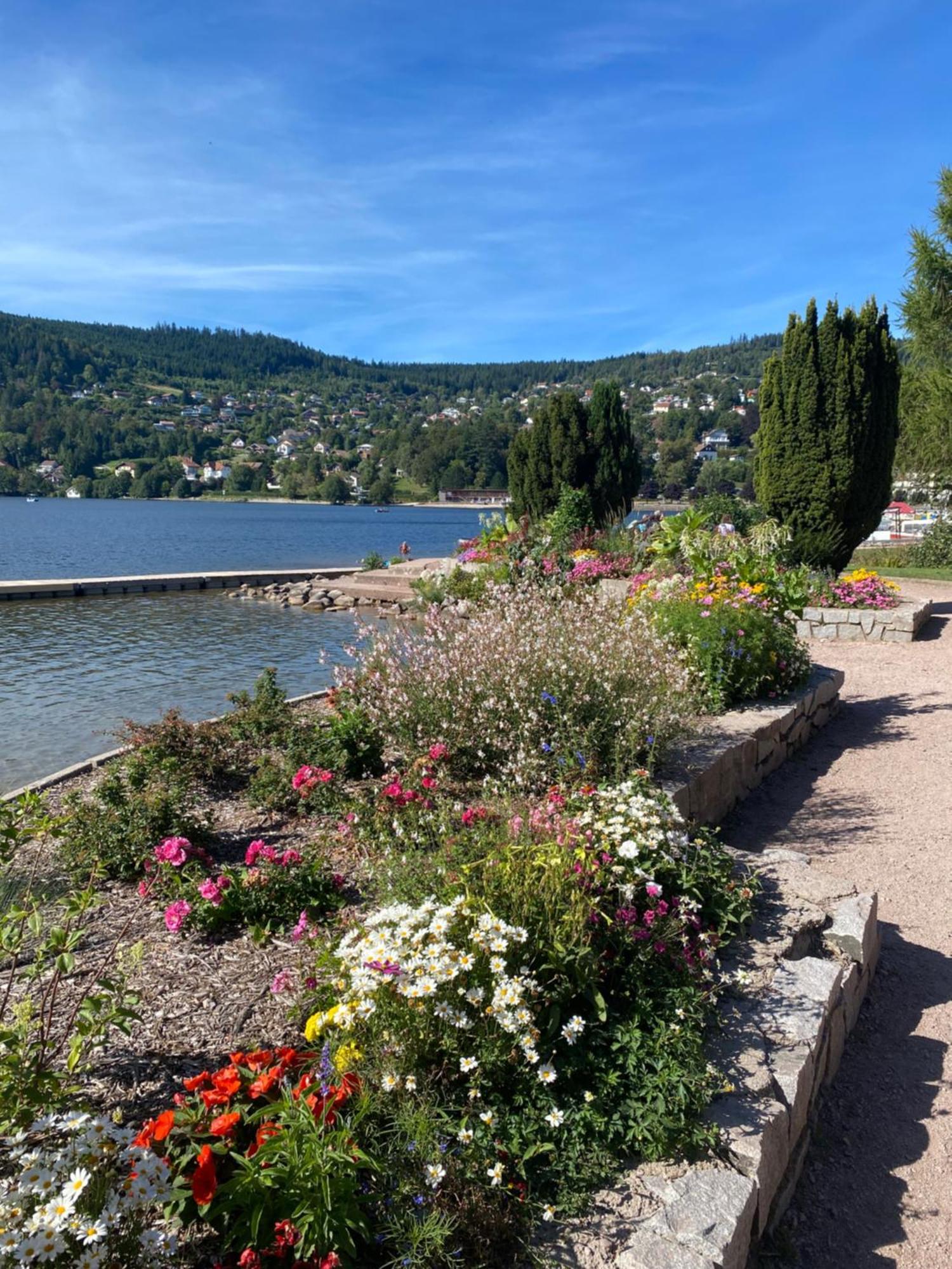 Charmant Chalet, Spacieux, Proche Du Lac, Vue Sur La Montagne 제라르메르 외부 사진