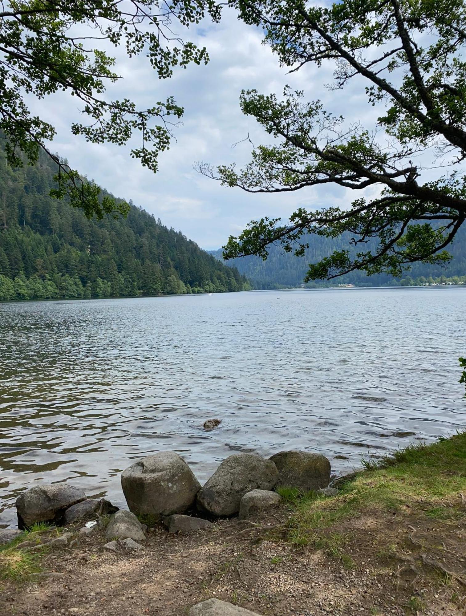 Charmant Chalet, Spacieux, Proche Du Lac, Vue Sur La Montagne 제라르메르 외부 사진